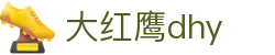 大红鹰dhy(中国)有限公司官网